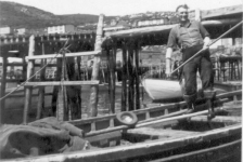 535: J V McCarthy unloading fish in Red Island harbour. (1955)  - Son of Thomas McCarthy &amp;amp; Anastasia Fitzgerald, married Julia Reddy
